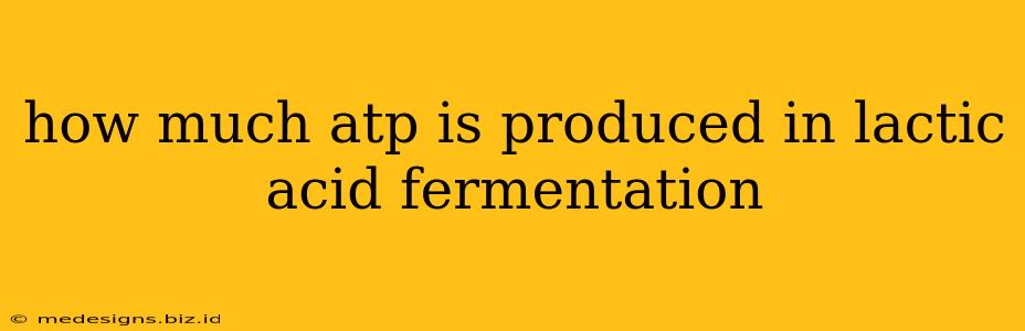 how much atp is produced in lactic acid fermentation