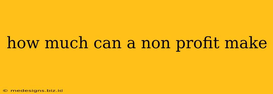 how much can a non profit make