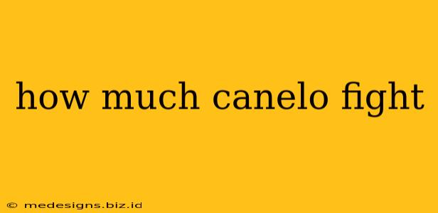 how much canelo fight