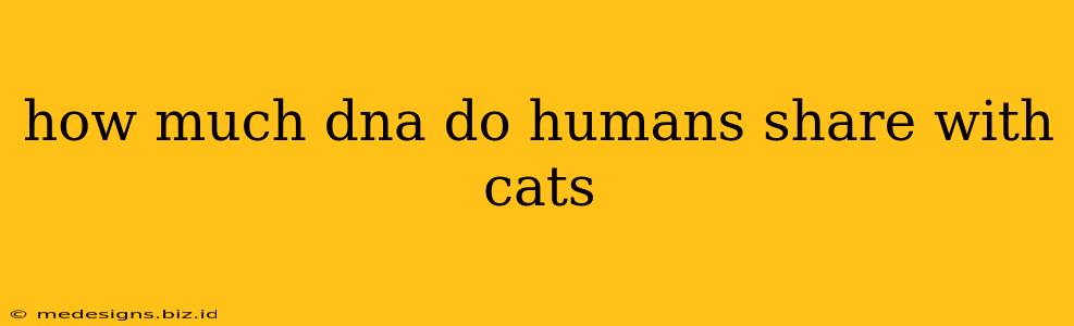 how much dna do humans share with cats