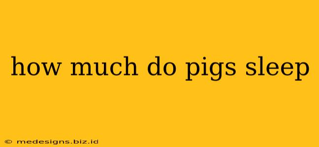 how much do pigs sleep