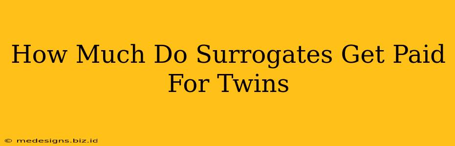 How Much Do Surrogates Get Paid For Twins
