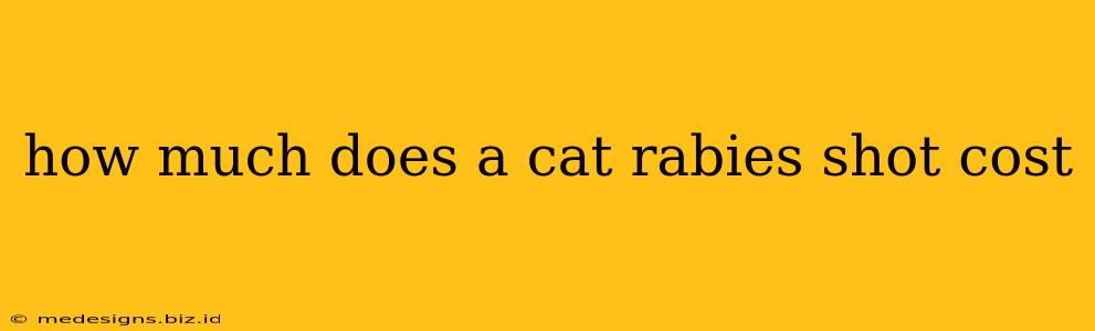 how much does a cat rabies shot cost