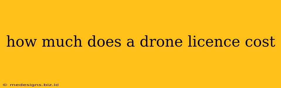 how much does a drone licence cost