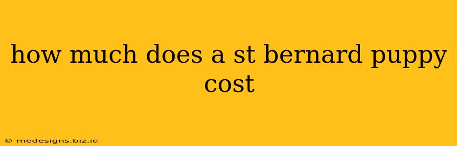 how much does a st bernard puppy cost