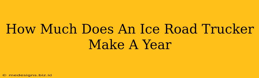 How Much Does An Ice Road Trucker Make A Year