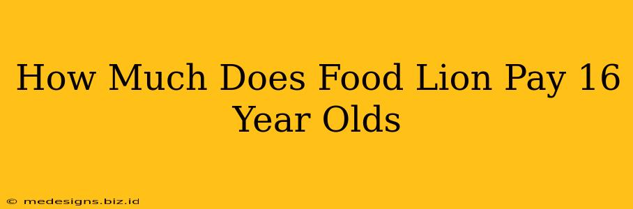 How Much Does Food Lion Pay 16 Year Olds