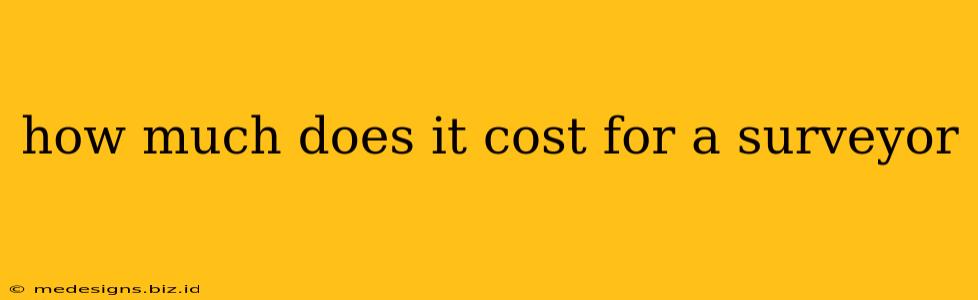 how much does it cost for a surveyor