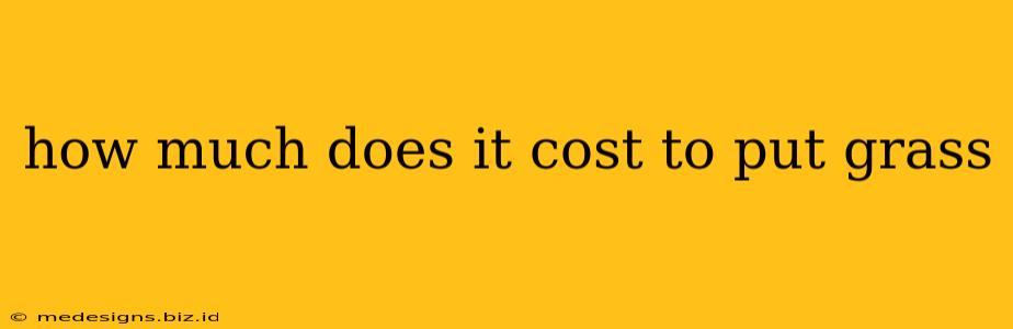 how much does it cost to put grass