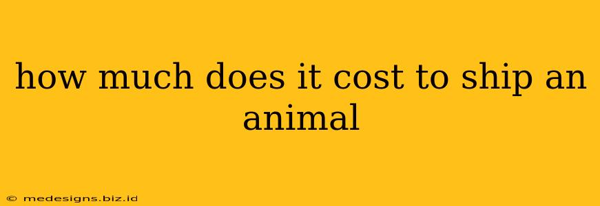 how much does it cost to ship an animal
