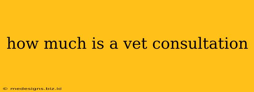 how much is a vet consultation