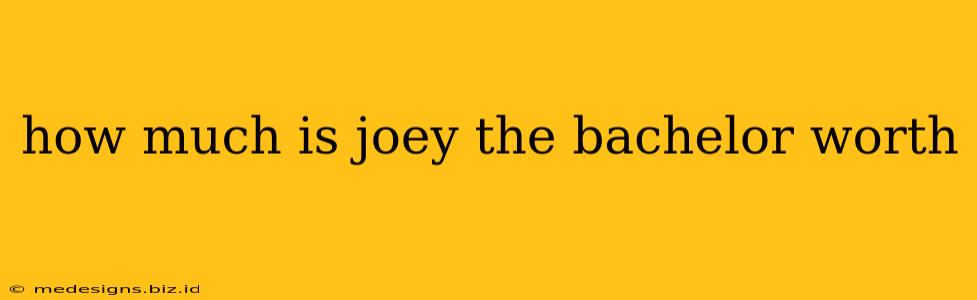 how much is joey the bachelor worth