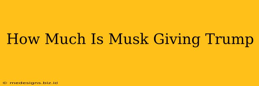 How Much Is Musk Giving Trump