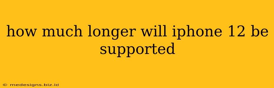 how much longer will iphone 12 be supported