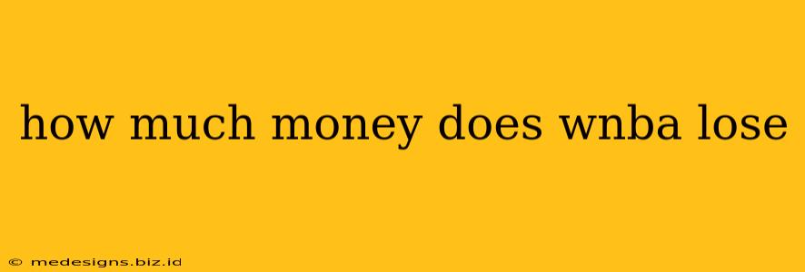 how much money does wnba lose