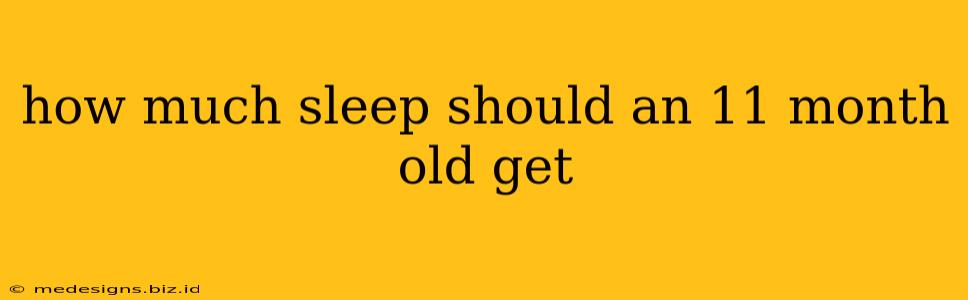 how much sleep should an 11 month old get