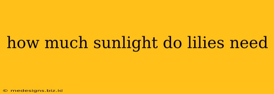 how much sunlight do lilies need