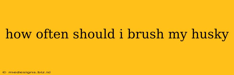 how often should i brush my husky