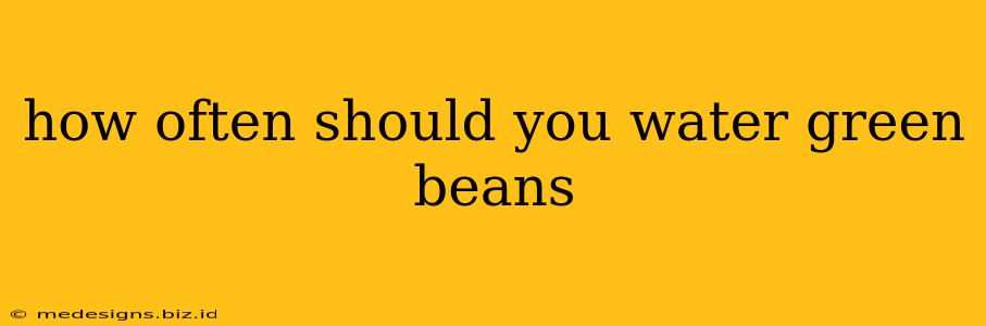 how often should you water green beans
