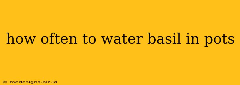 how often to water basil in pots