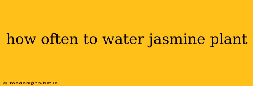 how often to water jasmine plant