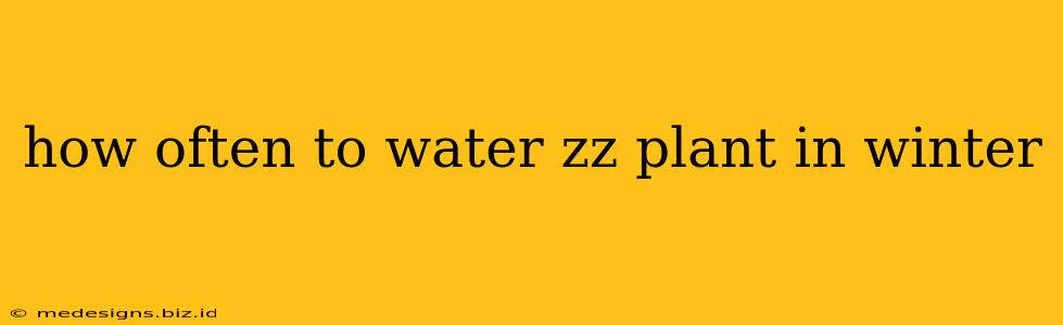 how often to water zz plant in winter