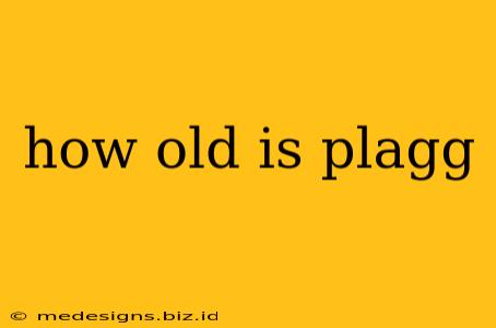 how old is plagg