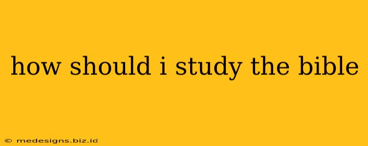 how should i study the bible