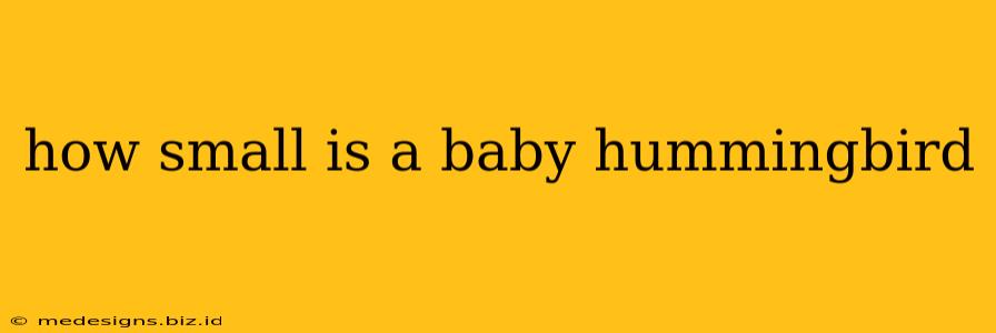 how small is a baby hummingbird