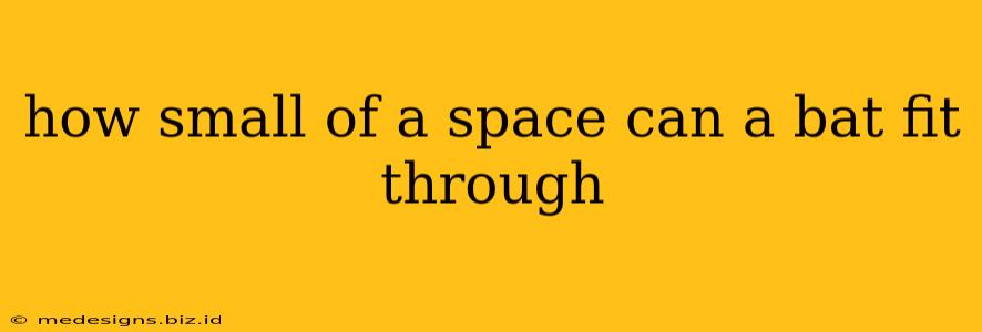 how small of a space can a bat fit through