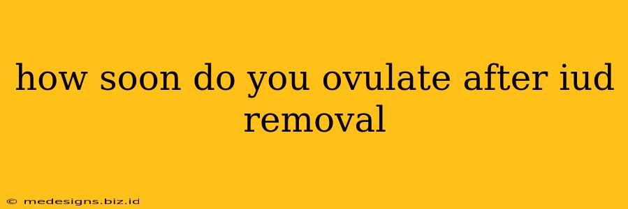 how soon do you ovulate after iud removal