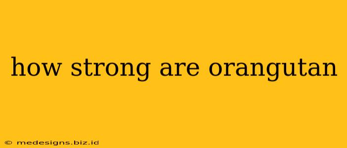 how strong are orangutan