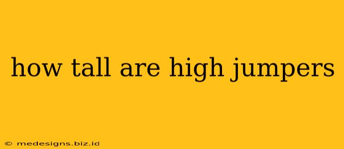 how tall are high jumpers