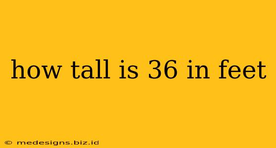 how tall is 36 in feet