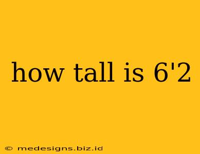 how tall is 6'2