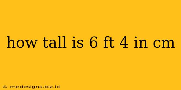 how tall is 6 ft 4 in cm