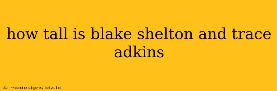 how tall is blake shelton and trace adkins
