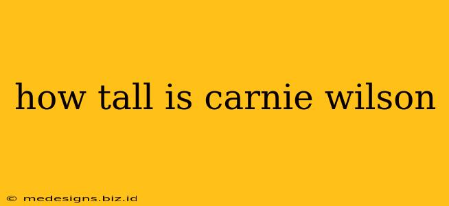 how tall is carnie wilson