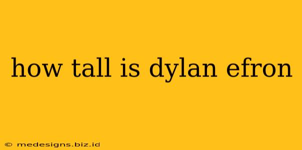 how tall is dylan efron
