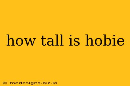 how tall is hobie