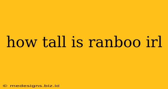 how tall is ranboo irl