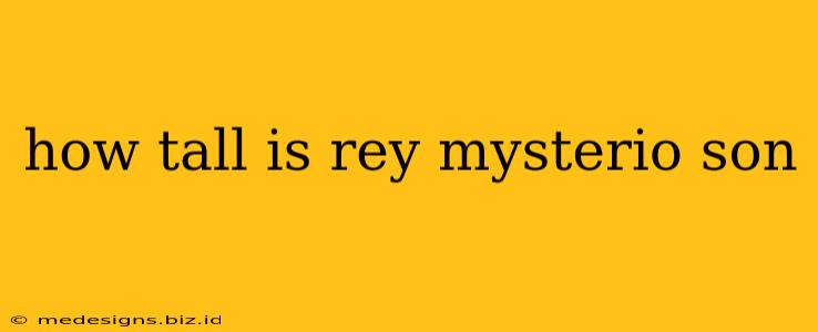 how tall is rey mysterio son