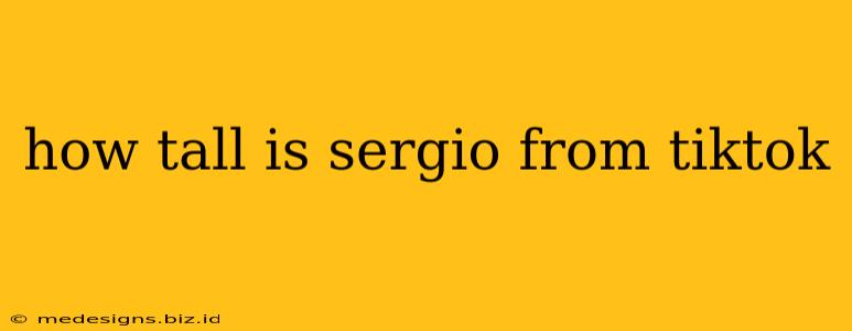 how tall is sergio from tiktok
