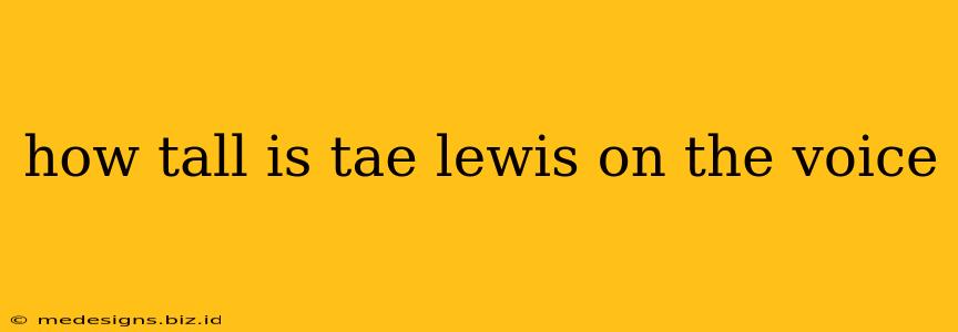how tall is tae lewis on the voice