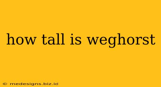 how tall is weghorst