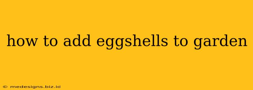 how to add eggshells to garden
