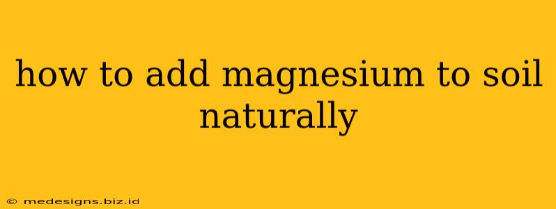 how to add magnesium to soil naturally