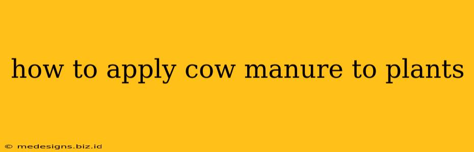 how to apply cow manure to plants