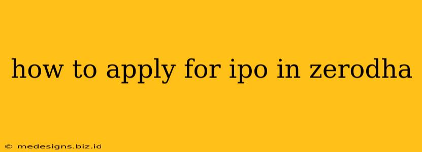 how to apply for ipo in zerodha