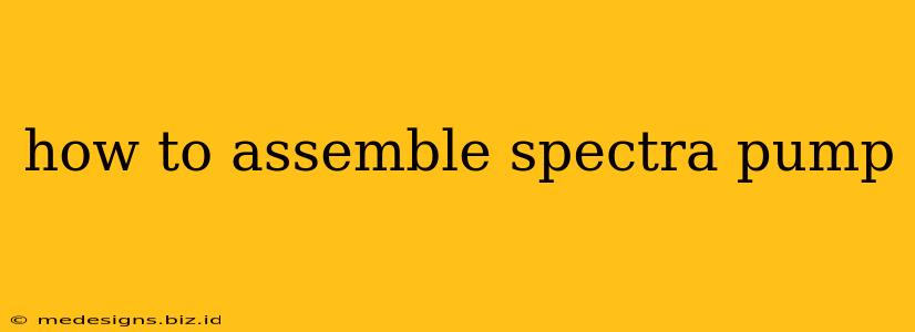 how to assemble spectra pump